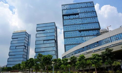 南寧經(jīng)開區(qū) 運(yùn)用容錯糾錯機(jī)制激勵干部擔(dān)當(dāng)作為